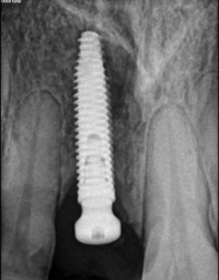 49d0ff78-f177-4760-8cd3-6c804b92a9fa