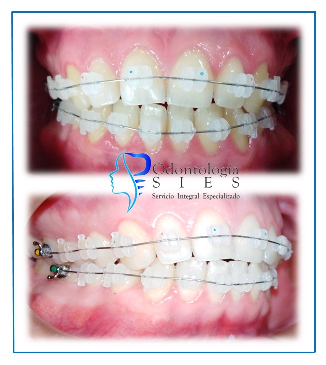 aff3a6d7-c544-496f-9be1-7f78092f798d